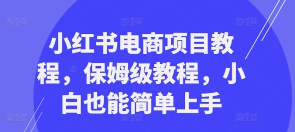 小红书电商项目教程，保姆级教程，小白也能简单上手 - 163资源网-163资源网