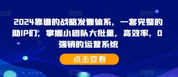 2024靠谱的战略发售体系，一套完整的助IP们，掌握小团队大批量，高效率，0 强销的运营系统 - 163资源网-163资源网