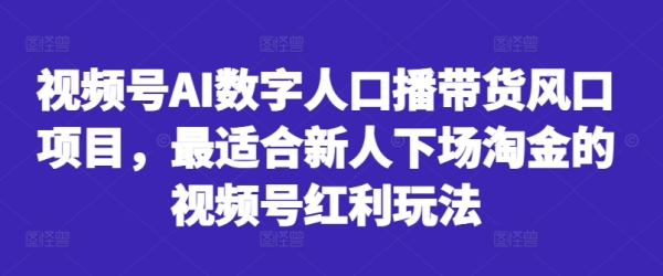 视频号AI数字人口播带货风口项目，最适合新人下场淘金的视频号红利玩法 - 163资源网-163资源网