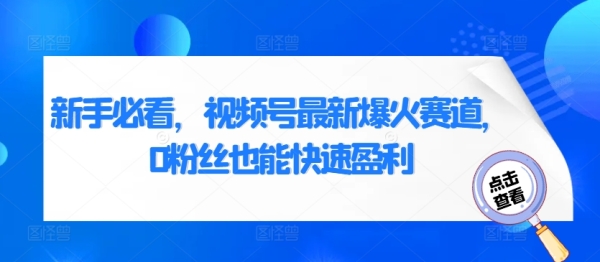 新手必看，视频号最新爆火赛道，0粉丝也能快速盈利 - 163资源网-163资源网