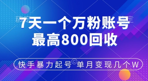 快手暴力起号，7天涨万粉，小白当天起号，多种变现方式，单月变现几个 - 163资源网-163资源网