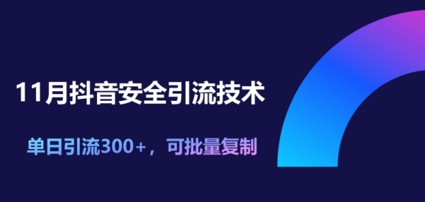 11月抖音安全引流技术，单日引流300+，可批量复制 - 163资源网-163资源网