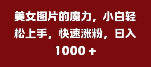 美女图片的魔力，小白轻松上手，快速涨粉，日入几张【揭秘】 - 163资源网-163资源网