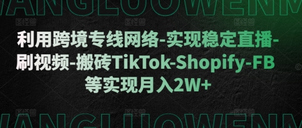 利用跨境专线网络-实现稳定直播-刷视频-搬砖TikTok-Shopify-FB等实现月入2W+【揭秘】 - 163资源网-163资源网