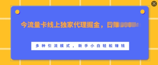 流量卡线上独家代理掘金，日入1k+ ，多种引流模式，新手小白轻松上手【揭秘】 - 163资源网-163资源网