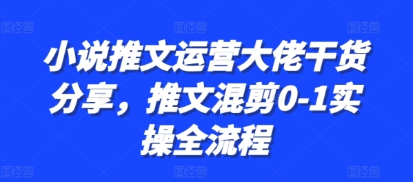 小说推文运营大佬干货分享，推文混剪0-1实操全流程 - 163资源网-163资源网