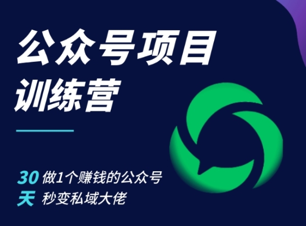 公众号项目训练营，30天做1个赚钱的公众号，秒变私域大佬 - 163资源网-163资源网