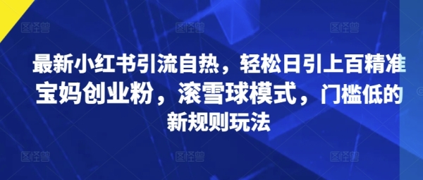 最新小红书引流自热，轻松日引上百精准宝妈创业粉，滚雪球模式，门槛低的新规则玩法 - 163资源网-163资源网