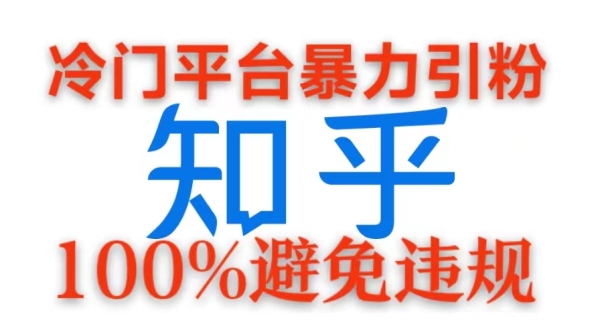 冷门平台暴力引流，日引100+创业粉，0成本100%避免违规的玩法 - 163资源网-163资源网