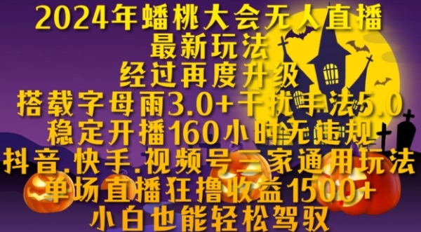 2024年蟠桃大会无人直播最新玩法，稳定开播160小时无违规，抖音、快手、视频号三家通用玩法【揭秘】 - 163资源网-163资源网