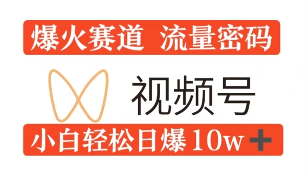 0粉在视频号爆火赛道流量密码，模式全方位，小白轻松日爆10w+流量 - 163资源网-163资源网