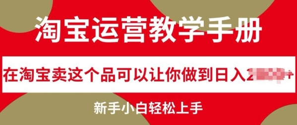 淘宝运营教学手册在淘宝卖这个品可以让你做到日入几张，新手小白轻松上手 - 163资源网-163资源网