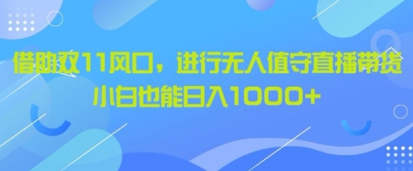 借助双11风口，进行无人值守直播带货，小白也能日入1k - 163资源网-163资源网