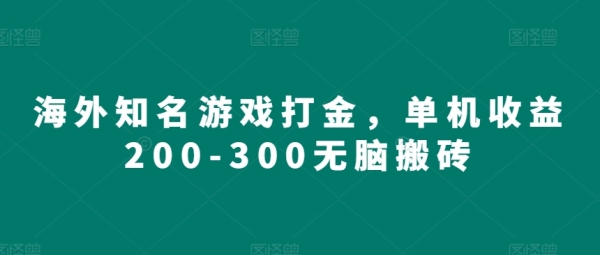 海外知名游戏打金，单机收益200-300无脑搬砖 - 163资源网-163资源网