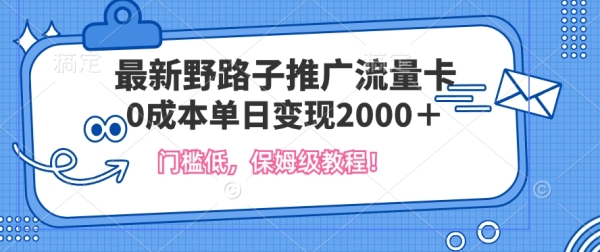 最新野路子推广流量卡，一张200-300，门槛低，0成本单日变现多张 - 163资源网-163资源网