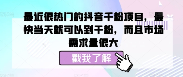 最近很热门的抖音千粉项目，最快当天就可以到干粉，而且市场需求量很大 - 163资源网-163资源网