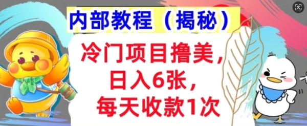 冷门项目撸美金，日入几张，每天收款1次，内部方法，首次公开! - 163资源网-163资源网