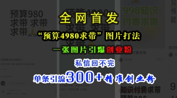 小红书“预算4980带我飞”图片打法，一张图片引爆创业粉，私信回不完，单条引流300+精准创业粉 - 163资源网-163资源网