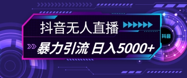 抖音快手视频号全平台通用无人直播引流法，利用图片模板和语音话术，暴力日引流100+创业粉【揭秘】 - 163资源网-163资源网