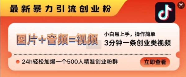 抖音最新暴力引流创业粉，3分钟一条创业类视频，24h轻松加爆一个500人精准创业粉群【揭秘】 - 163资源网-163资源网