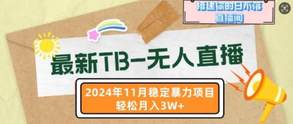 最新TB无人直播，2024年11月稳定暴力项目，搭建你的日不落直播间，轻松月入过W - 163资源网-163资源网