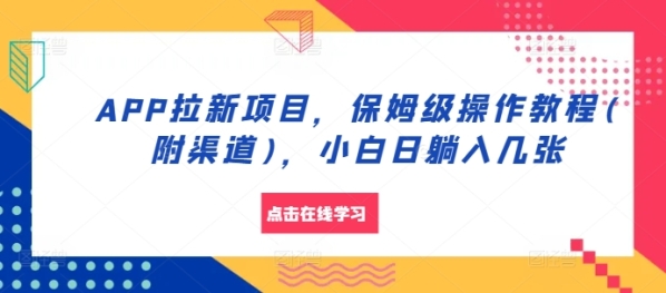 APP拉新项目，保姆级操作教程(附渠道)，小白日躺入几张【揭秘】 - 163资源网-163资源网