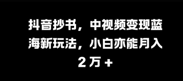 抖音抄书，中视频变现蓝海新玩法，小白亦能月入 过W【揭秘】 - 163资源网-163资源网