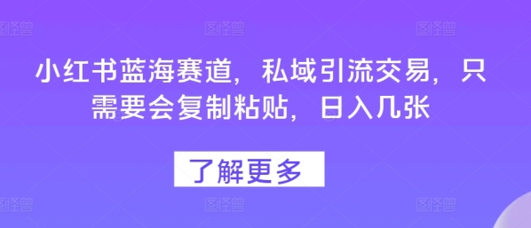 小红书蓝海赛道，私域引流交易，只需要会复制粘贴，日入几张 - 163资源网-163资源网