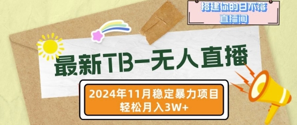 【最新TB-无人直播】11月最新，打造你的日不落直播间，轻松月入过W【揭秘】 - 163资源网-163资源网