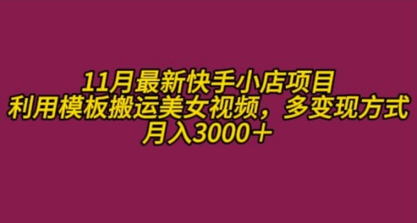 11月K总部落快手小店情趣男粉项目，利用模板搬运美女视频，多变现方式月入3000+ - 163资源网-163资源网