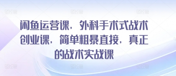 闲鱼运营课，外科手术式战术创业课，简单粗暴直接，真正的战术实战课 - 163资源网-163资源网