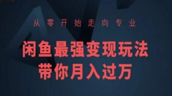 从零开始走向专业，闲鱼最强变现玩法带你月入过万 - 163资源网-163资源网