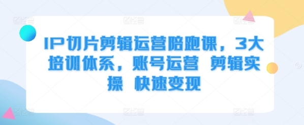 IP切片剪辑运营陪跑课，3大培训体系，账号运营 剪辑实操 快速变现 - 163资源网-163资源网