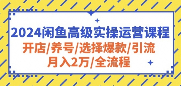 2024闲鱼高级实操运营课程：开店/养号/选择爆款/引流/月入2万/全流程 - 163资源网-163资源网