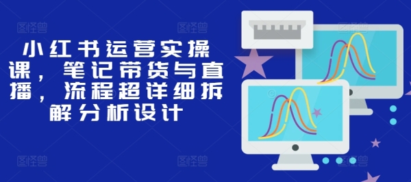 小红书运营实操课，笔记带货与直播，流程超详细拆解分析设计 - 163资源网-163资源网