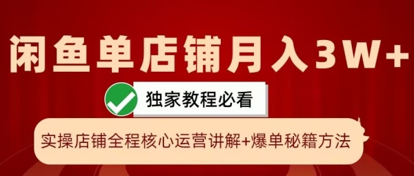 闲鱼单店铺月入3W+实操展示，爆单核心秘籍，一学就会【揭秘】 - 163资源网-163资源网