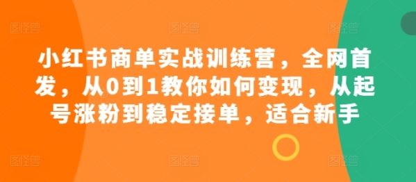 小红书商单实战训练营，全网首发，从0到1教你如何变现，从起号涨粉到稳定接单，适合新手 - 163资源网-163资源网