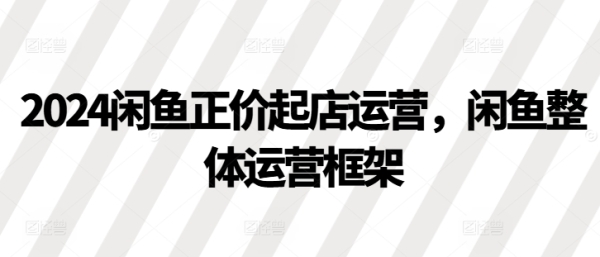 2024闲鱼正价起店运营，闲鱼整体运营框架 - 163资源网-163资源网