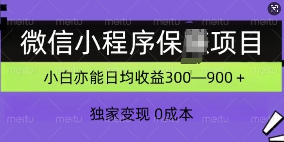 微信小程序保Z项目，独家变现，日均收益几张 - 163资源网-163资源网