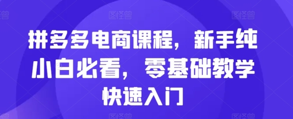 拼多多电商课程，新手纯小白必看，零基础教学快速入门 - 163资源网-163资源网