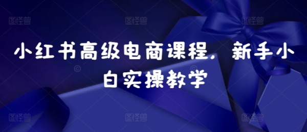 小红书高级电商课程，新手小白实操教学 - 163资源网-163资源网