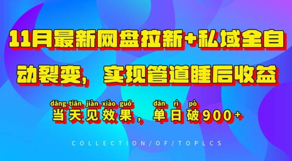 11月最新网盘拉新+私域全自动裂变，实现管道睡后收益，当天见效果，单日破900+ - 163资源网-163资源网