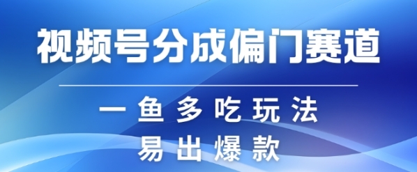 视频号创作者分成计划偏门类目，容易爆流，实拍内容简单易做【揭秘】 - 163资源网-163资源网