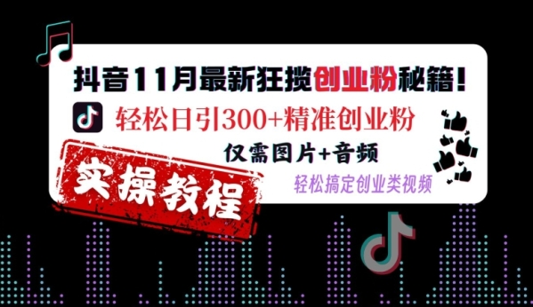 抖音11月最新狂揽创业粉秘籍，轻松日引300+精准创业粉，仅需图片+音频，轻松搞定创业类视频 - 163资源网-163资源网