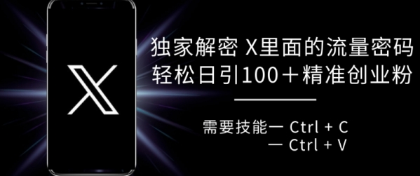 独家解密 X 里面的流量密码，复制粘贴轻松日引100+ - 163资源网-163资源网