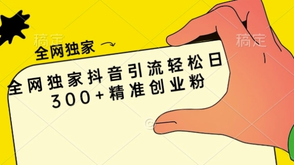 全网独家抖音引流轻松日引300+精准创业粉 - 163资源网-163资源网