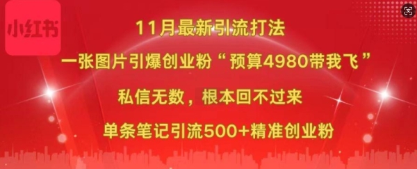 小红书11月最新图片打粉，一张图片引爆创业粉，“预算4980带我飞”，单条引流500+精准创业粉 - 163资源网-163资源网