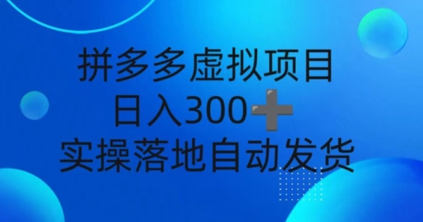 拼多多虚拟项目，新人日入3张，自动发货，实操落地可批量放大 - 163资源网-163资源网