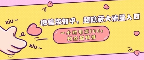 微信版知乎，超隐蔽流量入口1小时引流100人，粉丝质量超高【揭秘】 - 163资源网-163资源网