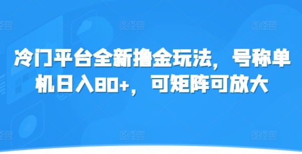 冷门平台全新撸金玩法，号称单机日入80+，可矩阵可放大 - 163资源网-163资源网